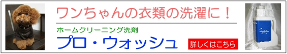 犬の衣類の洗濯
